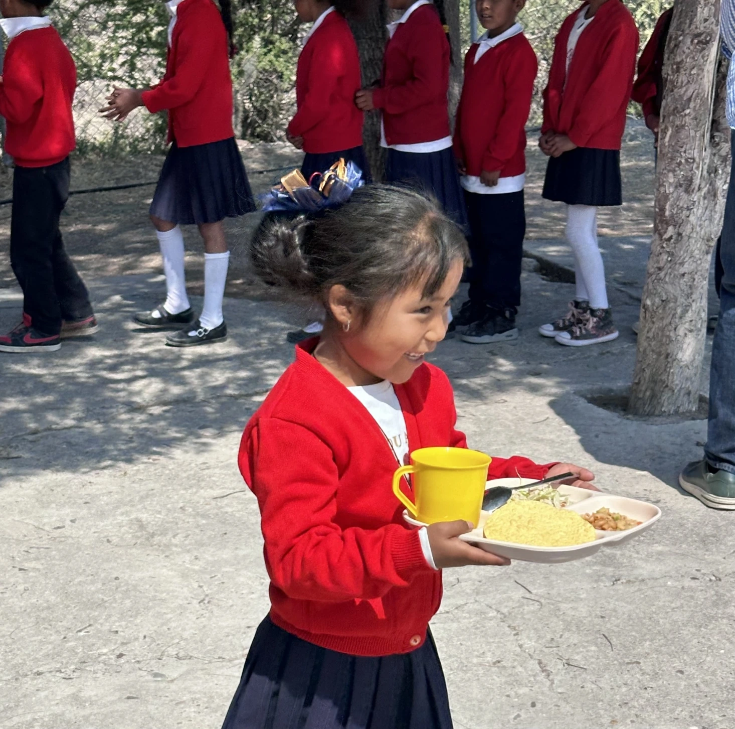 Can One Meal a Day Make a Difference?